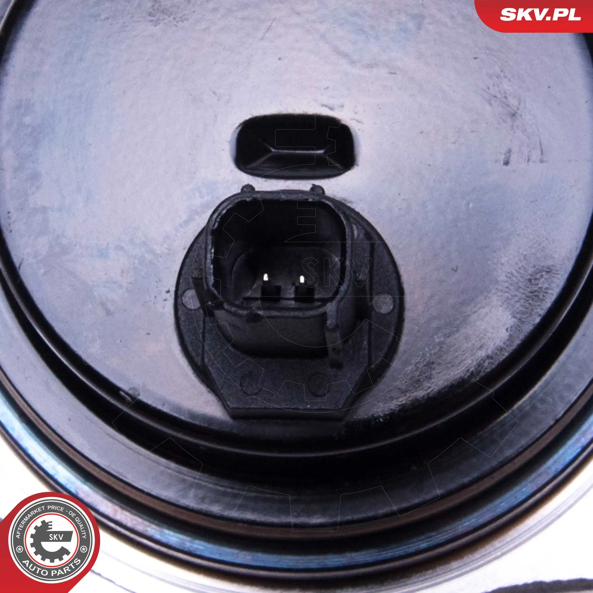 Wheel Bearing Kit 29SKV557