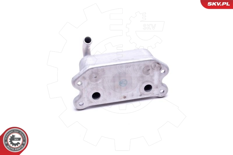 Oil Cooler, engine oil 31SKV227