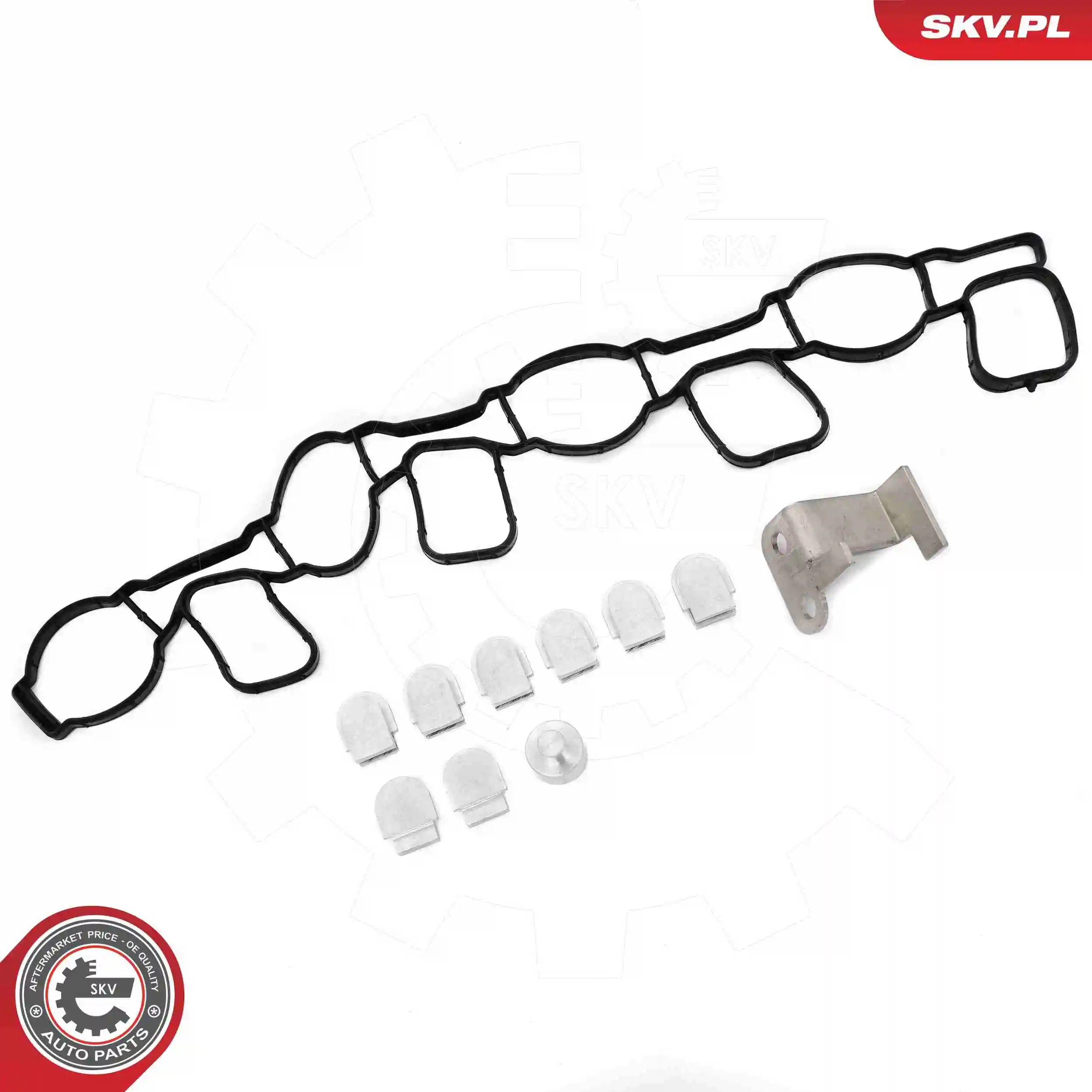 ESEN SKV 49SKV511 Repair Kit, intake manifold module