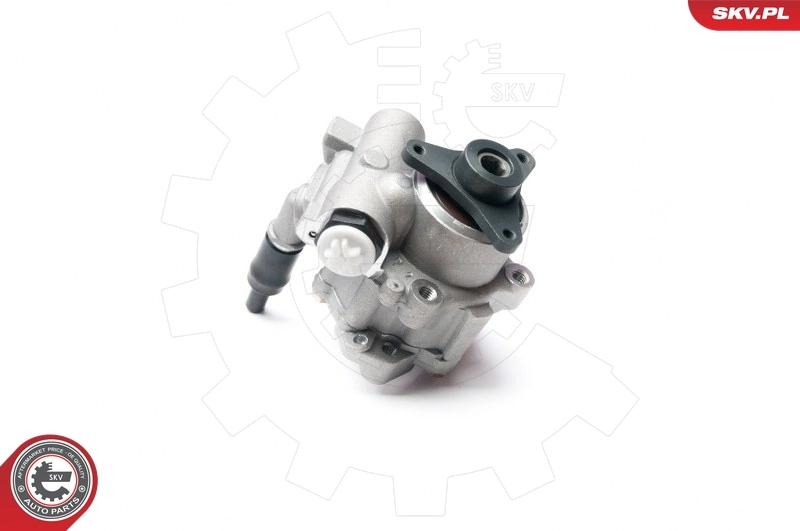 Hydraulic Pump, steering 10SKV199