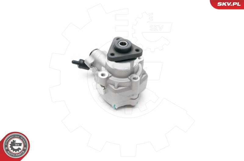 Hydraulic Pump, steering 10SKV194