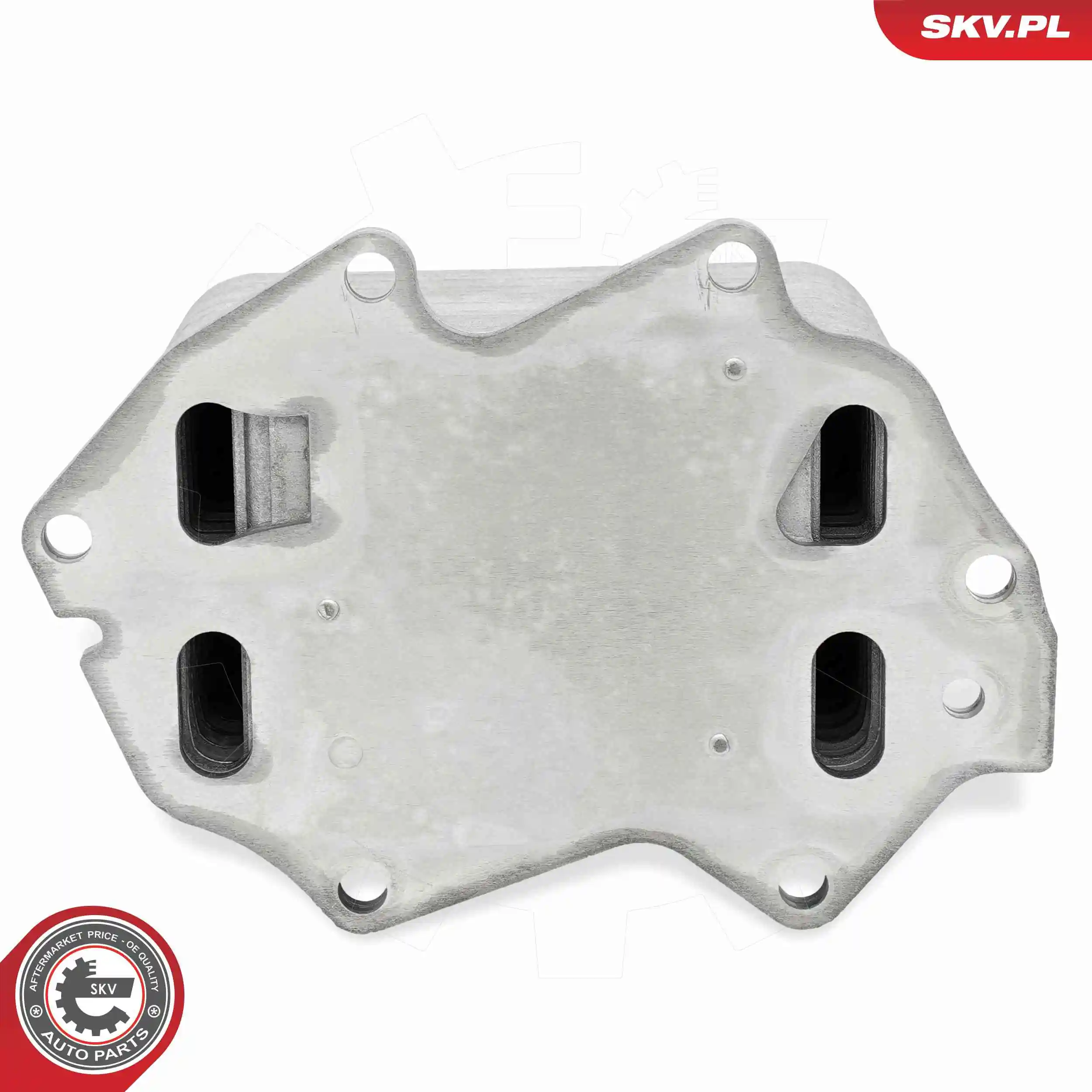 Oil Cooler, engine oil 31SKV368