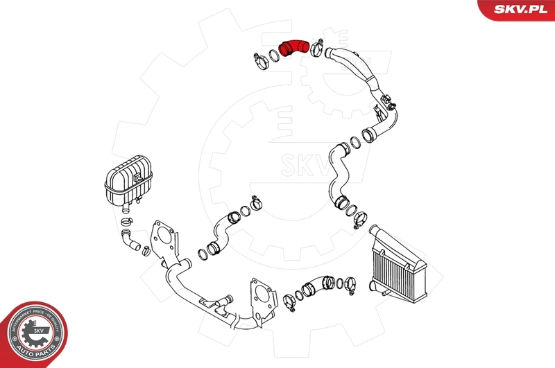 Charge Air Hose 24SKV012