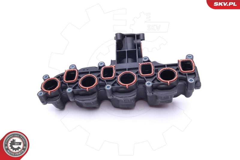 Intake Manifold Module 49SKV008