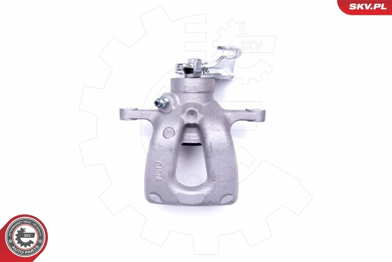 Brake Caliper 44SKV053