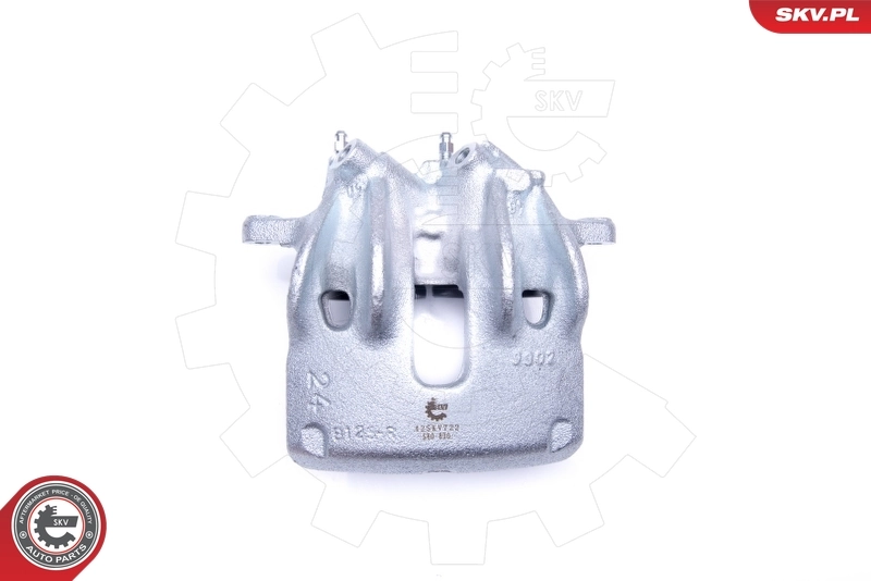 Brake Caliper 42SKV722