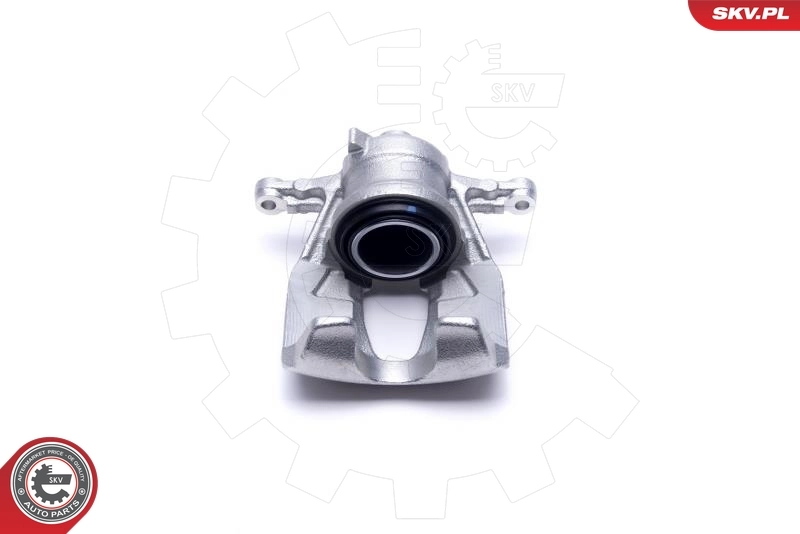 Brake Caliper 55SKV671