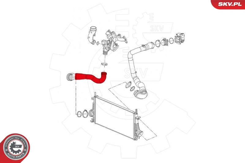 Charge Air Hose 43SKV072
