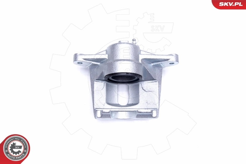 Brake Caliper 42SKV922