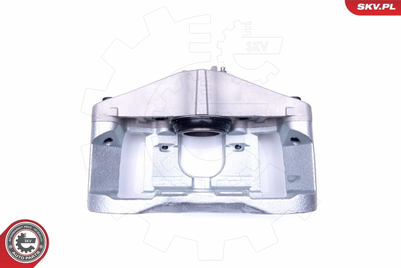 ESEN SKV 44SKV122 Brake Caliper