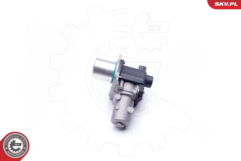 EGR Valve 14SKV163