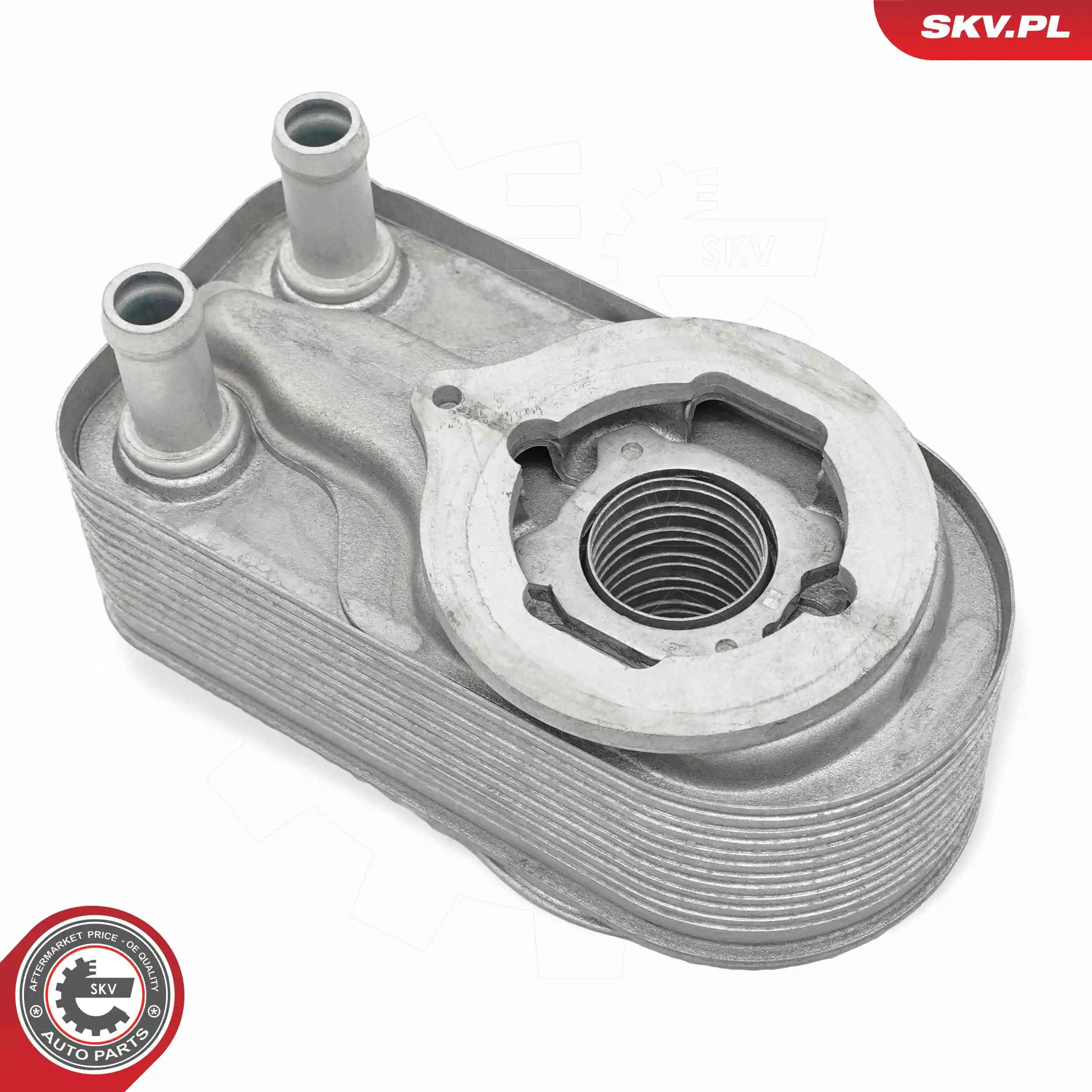 Oil Cooler, engine oil 31SKV352