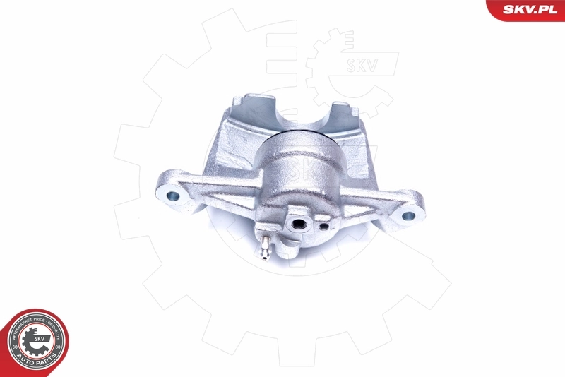 Brake Caliper 42SKV922