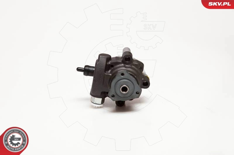 Hydraulic Pump, steering 10SKV094