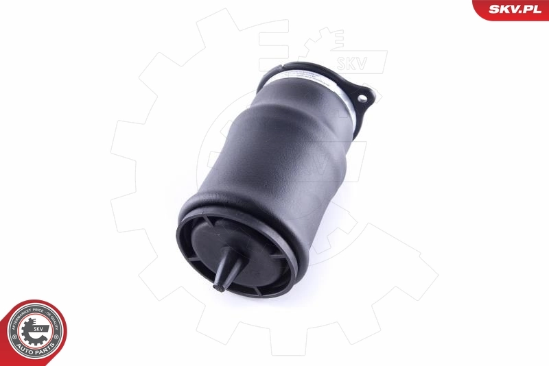 Air Spring, suspension 58SKV014