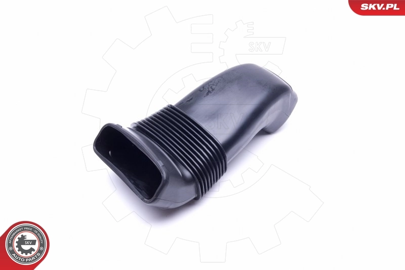 ESEN SKV 43SKV925 Air Channel