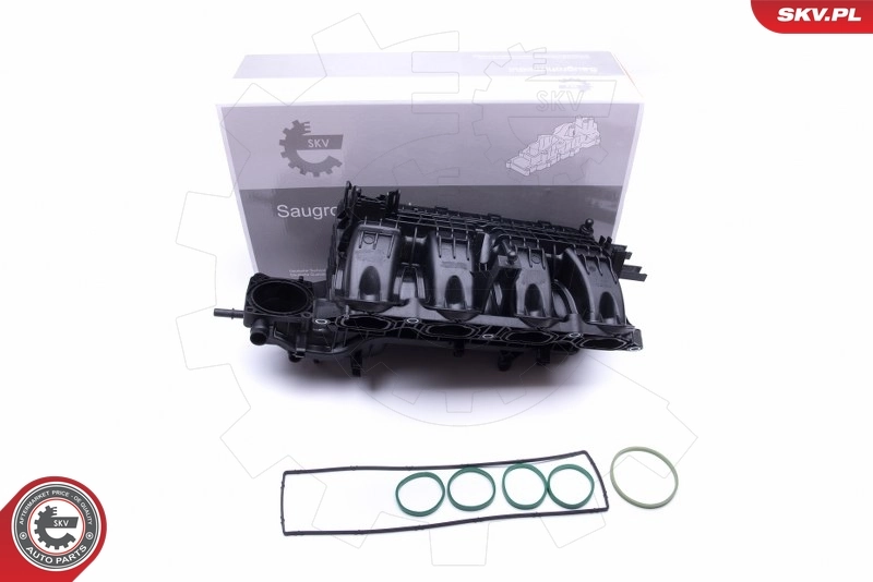 Intake Manifold Module 49SKV026