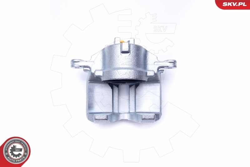 Brake Caliper 42SKV181