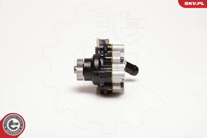 Hydraulic Pump, steering 10SKV116