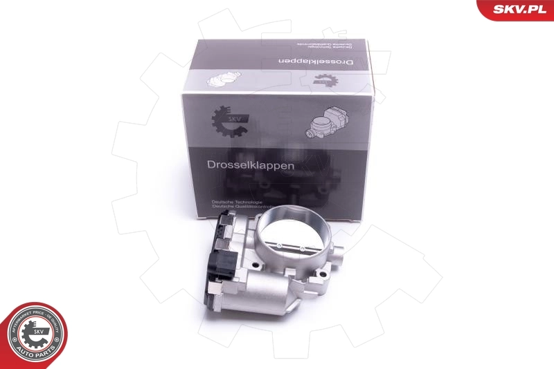 Throttle Body 12SKV118