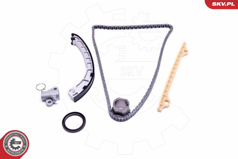 Timing Chain Kit 21SKV217