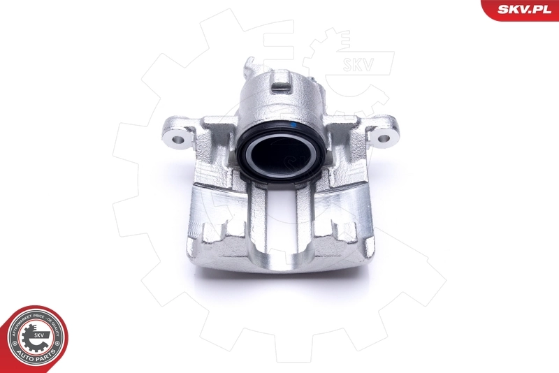 Brake Caliper 46SKV042