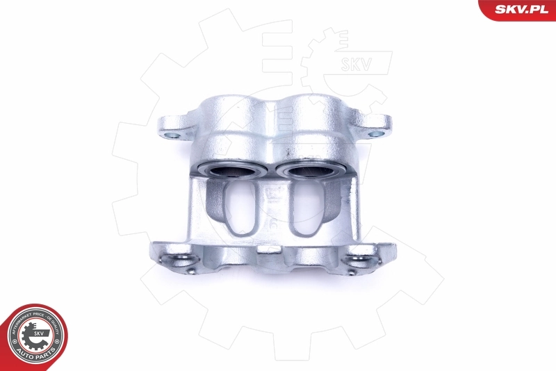 Brake Caliper 46SKV091