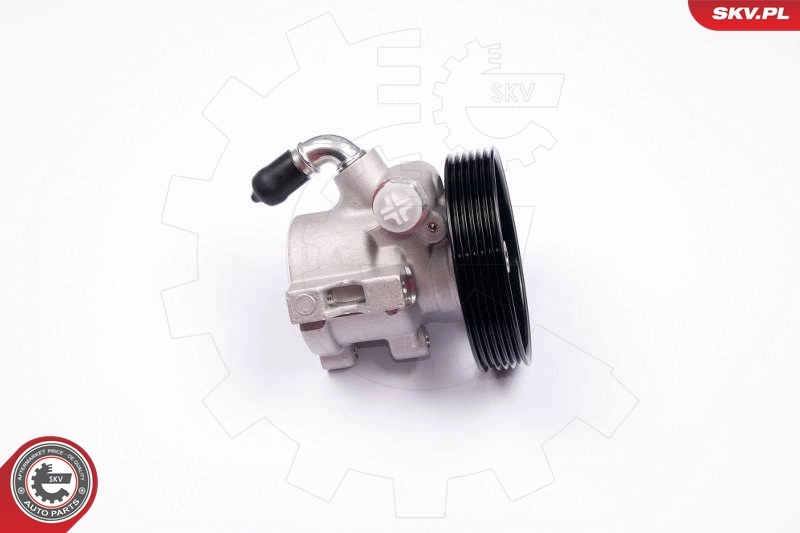 Hydraulic Pump, steering 10SKV174