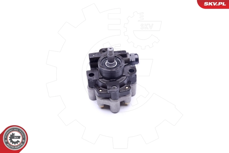 Hydraulic Pump, steering 10SKV267