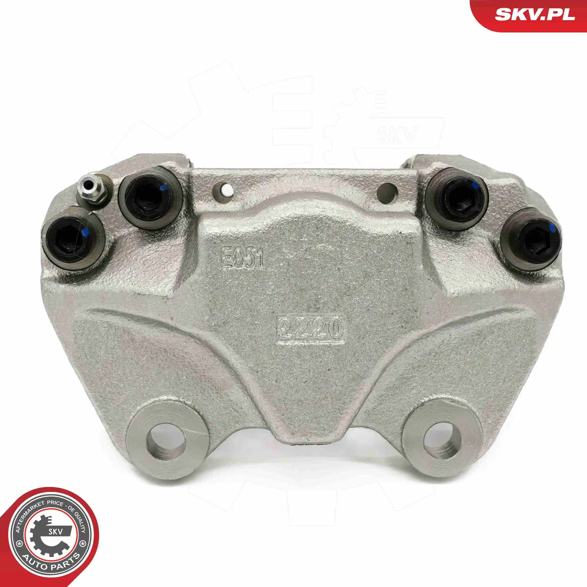 ESEN SKV 67SKV231 Brake Caliper