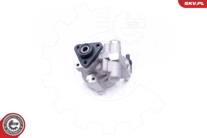 Hydraulic Pump, steering 10SKV278