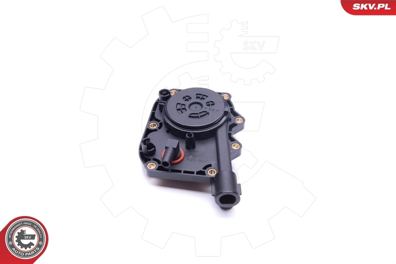 Repair Kit, crankcase ventilation 31SKV103