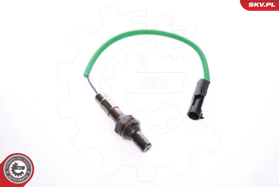 Oxygen Sensor 09SKV069