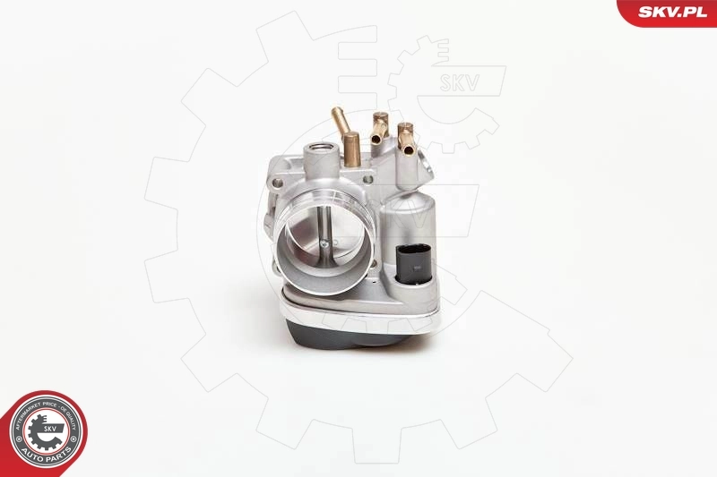 Throttle Body 12SKV032