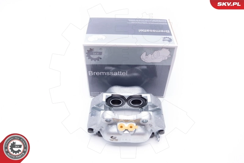 Brake Caliper 42SKV002