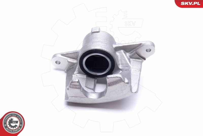 Brake Caliper 56SKV002