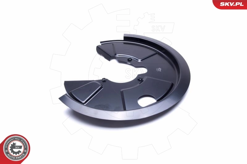 ESEN SKV 57SKV174 Splash Guard, brake disc