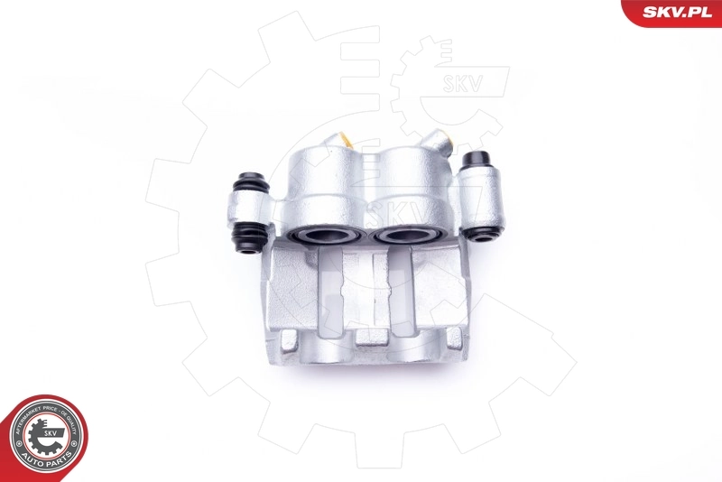 Brake Caliper 42SKV072