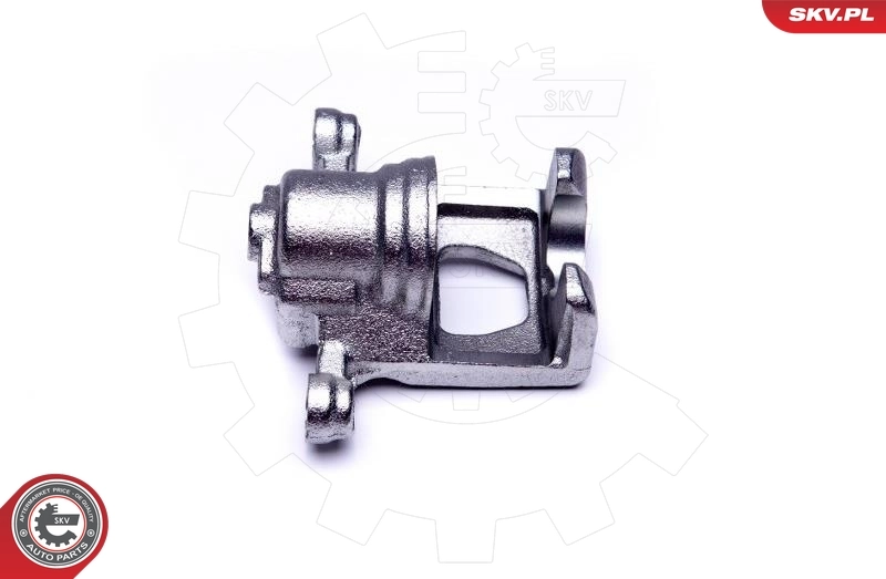 Étrier de frein 46SKV193