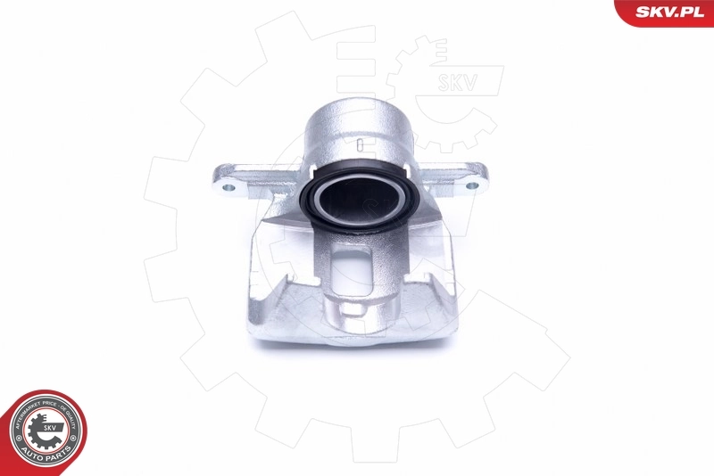 Brake Caliper 44SKV151