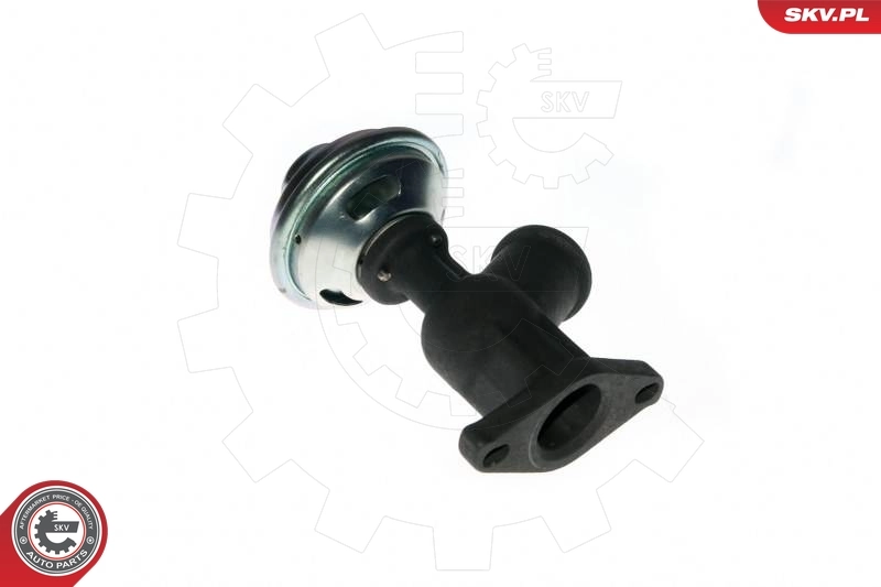 EGR Valve 14SKV077