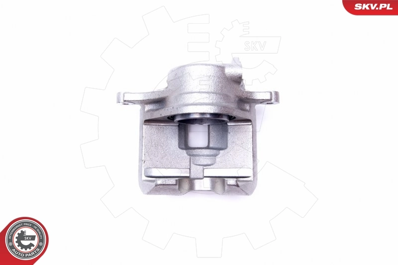 Brake Caliper 45SKV701