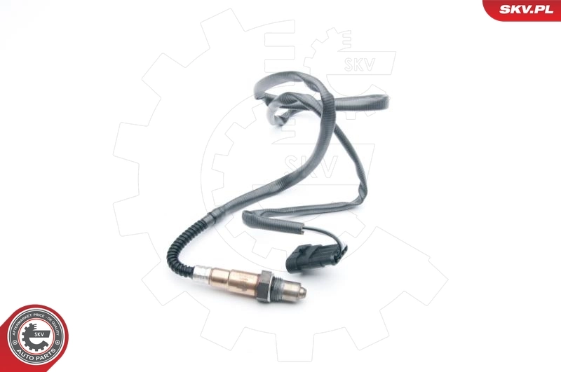 Oxygen Sensor 09SKV617