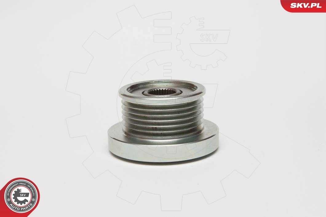 ESEN SKV 11SKV049 Alternator Freewheel Clutch