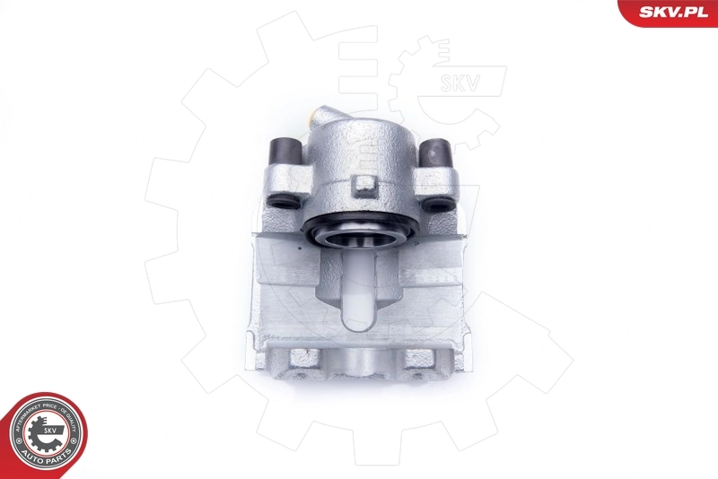 Brake Caliper 42SKV021