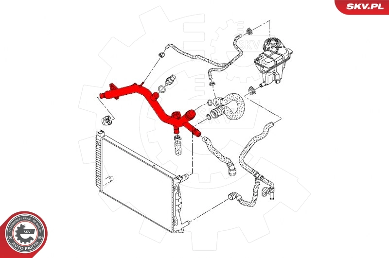Coolant Pipe 43SKV601