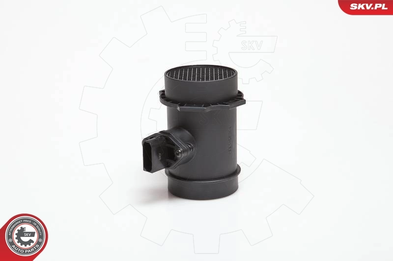 Mass Air Flow Sensor 07SKV031