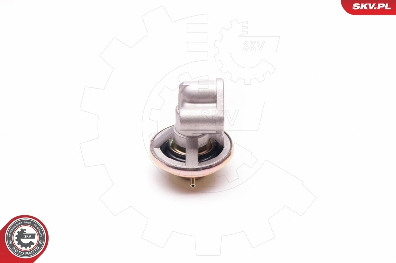 ESEN SKV 14SKV130 EGR Valve