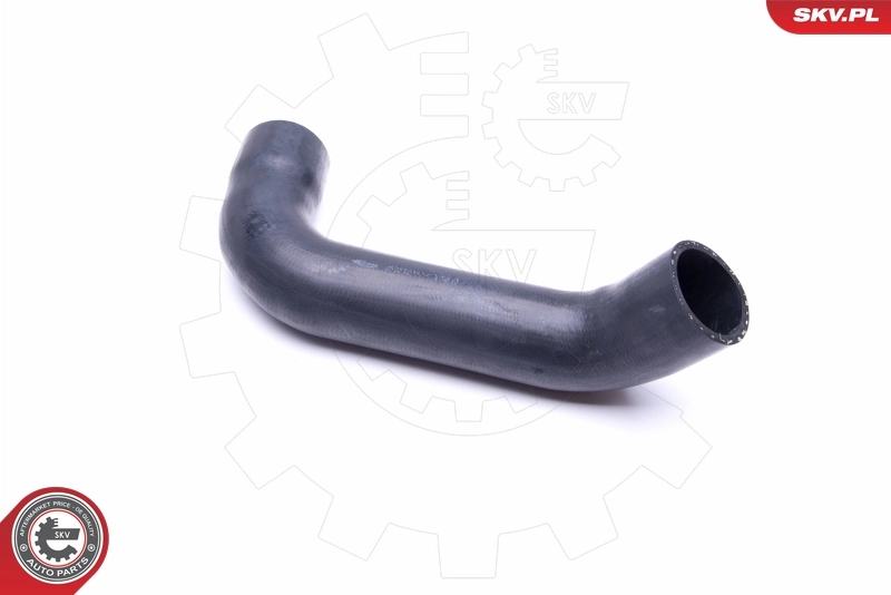 Charge Air Hose 43SKV194