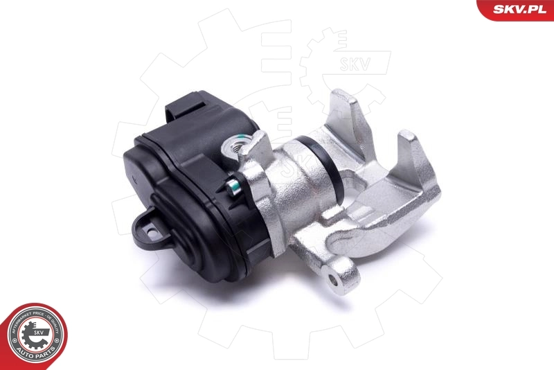 Brake Caliper 56SKV224